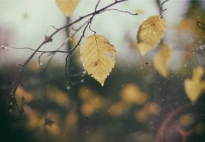 Et perspiciatis sunt omnis