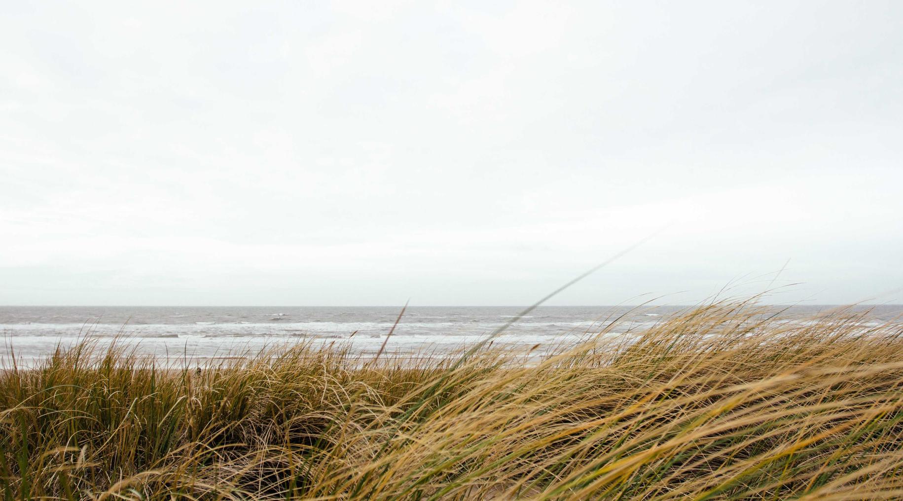 Omnis adipisci et pariatur quas